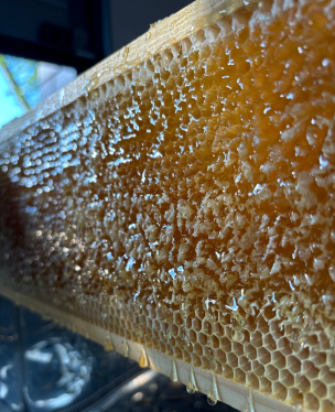 Соти золотистого меду зблизька