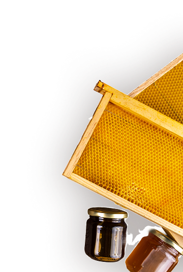 blog hero bg front img